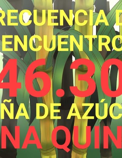 Caña de Azucar